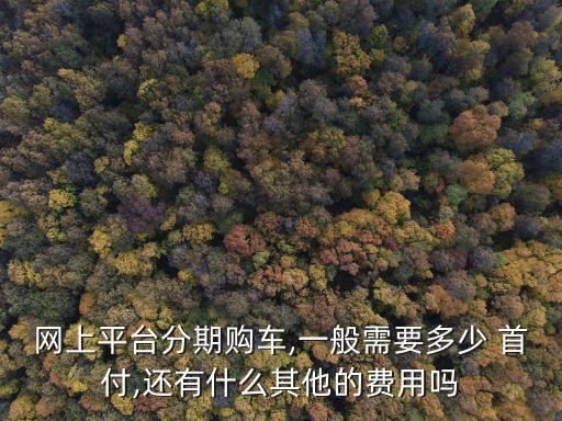 網(wǎng)上平臺(tái)分期購車,一般需要多少 首付,還有什么其他的費(fèi)用嗎
