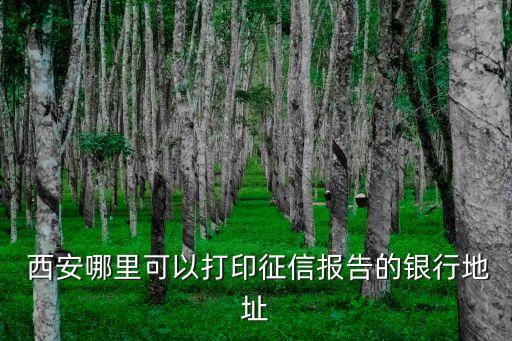  西安哪里可以打印征信報(bào)告的銀行地址