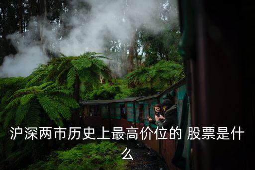 滬深兩市歷史上最高價(jià)位的 股票是什么