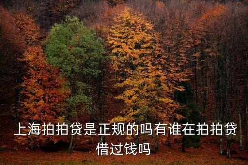  上海拍拍貸是正規(guī)的嗎有誰在拍拍貸借過錢嗎
