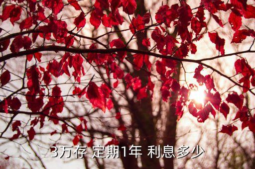 三萬銀行定期一年利息是多少,三萬存定期哪個銀行利息高