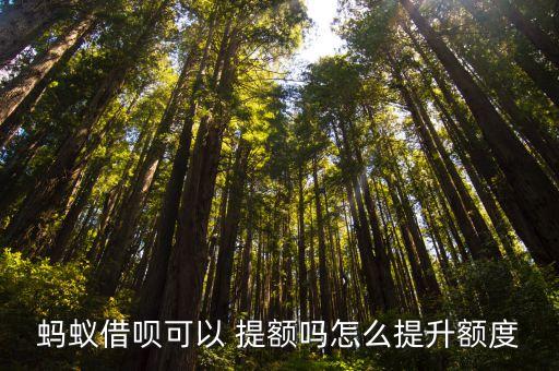 螞蟻借唄可以 提額嗎怎么提升額度
