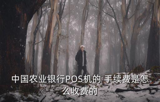 刷pos機(jī)取現(xiàn) 手續(xù)費(fèi)是多少,pos機(jī)取10000手續(xù)費(fèi)多少