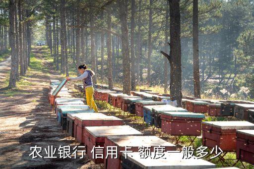 信用卡300額度有多少,第一次辦信用卡額度是多少