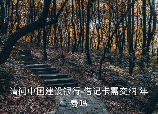 請問中國建設(shè)銀行 借記卡需交納 年費嗎