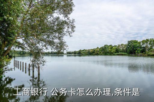 工行公務(wù)卡最低多少