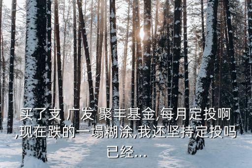今日廣發(fā)聚豐凈值多少,廣發(fā)聚豐基金270005今日凈值
