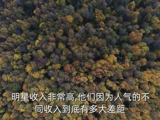  明星收入非常高,他們因?yàn)槿藲獾牟煌杖氲降子卸啻蟛罹? class=