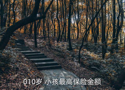 010歲 小孩最高保險(xiǎn)金額