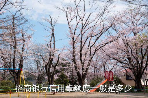 招行普卡上限是多少錢,招行轉(zhuǎn)賬上限是多少