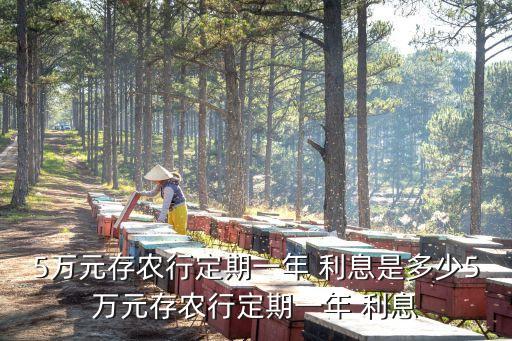 5萬元存農(nóng)行定期一年 利息是多少5萬元存農(nóng)行定期一年 利息
