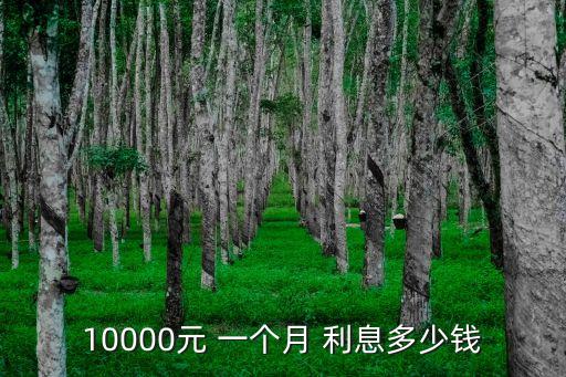 10000元 一個(gè)月 利息多少錢(qián)