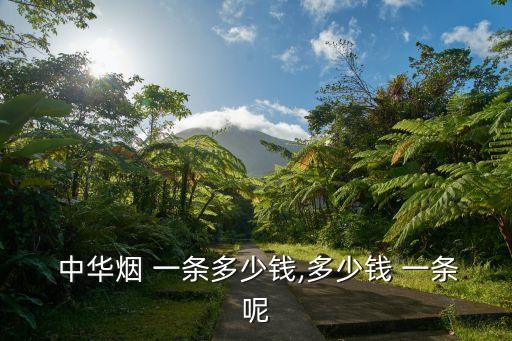 2017年軟中華多少錢一條,1999年軟中華多少錢