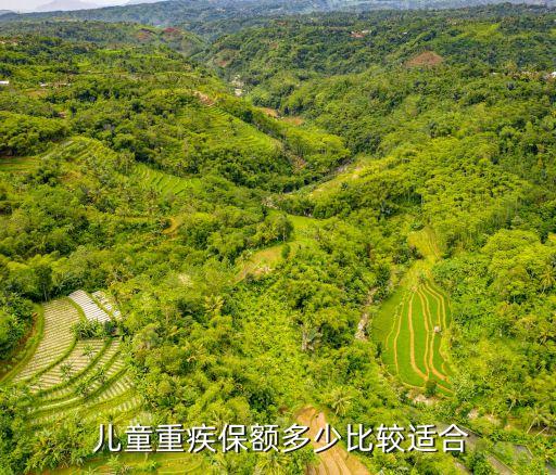 兒童健康險一般多少錢,健康險能退多少錢