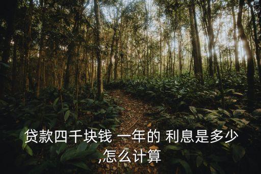  貸款四千塊錢 一年的 利息是多少,怎么計算
