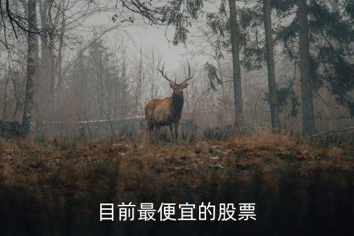 目前最便宜的股票