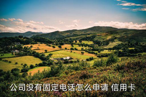 辦信用卡需要多少年收入,沒有收入的大學生可以辦信用卡嗎