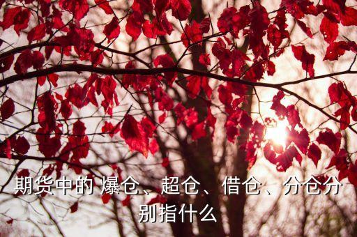 期貨中的 爆倉、超倉、借倉、分倉分別指什么