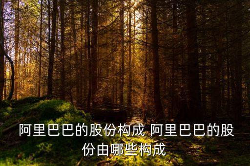  阿里巴巴的股份構(gòu)成 阿里巴巴的股份由哪些構(gòu)成