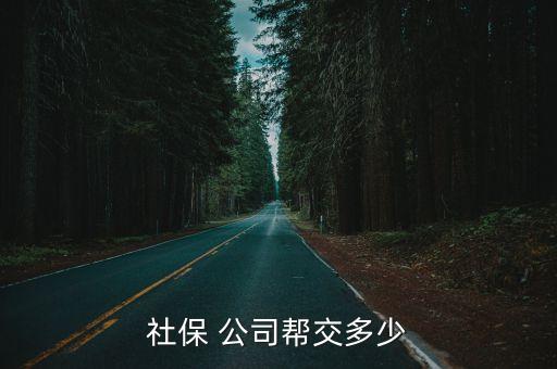 一般公司代繳多少保險費,公司一個月保險費大概多少