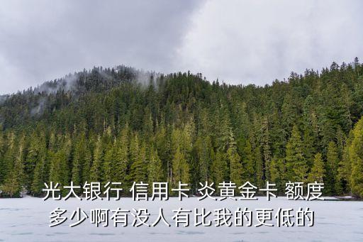  光大銀行 信用卡 炎黃金卡 額度多少啊有沒人有比我的更低的