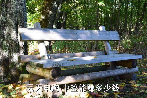 云天申購 中簽能賺多少錢