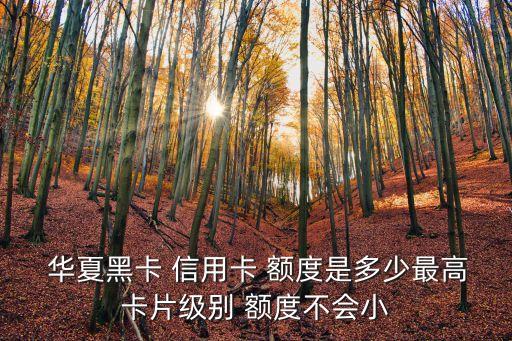  華夏黑卡 信用卡 額度是多少最高卡片級別 額度不會小