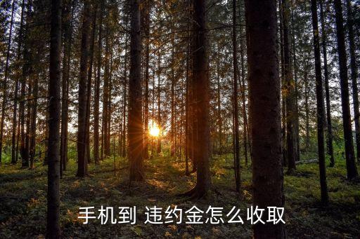郵政送手機違約金是多少費用