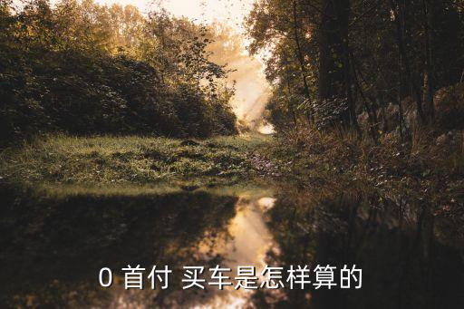 零首付買車能分多少期