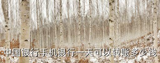 中國銀行手機銀行一天可以轉(zhuǎn)賬多少錢