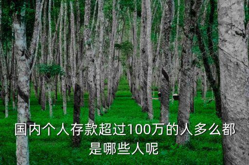 昆明家庭存錢多少,存錢100萬的家庭有多少