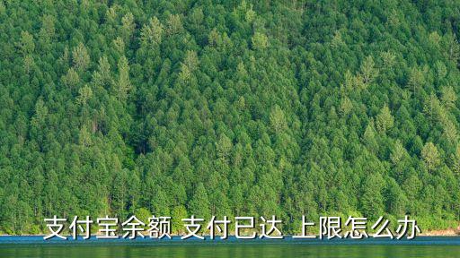  支付寶余額 支付已達(dá) 上限怎么辦