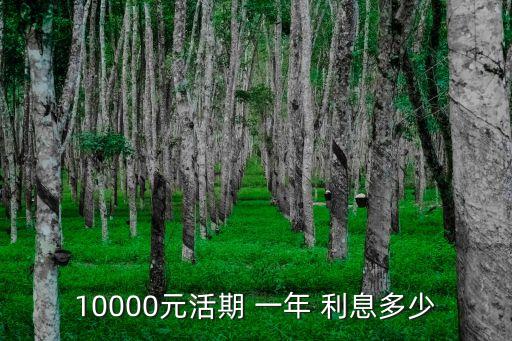 10000元活期 一年 利息多少
