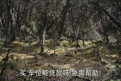買(mǎi) 車位能貸款嗎,急需幫助!