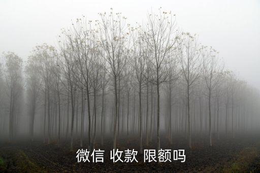 微信收款一年限額多少,什么軟件能掙錢提現(xiàn)到微信