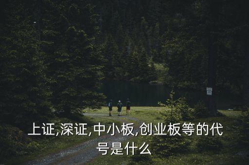 上證指數(shù)的代碼是多少,a股上證指數(shù)代碼是多少