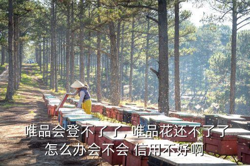  唯品會登不了了, 唯品花還不了了怎么辦會不會 信用不好啊