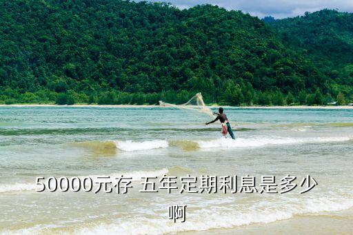 五年期理財(cái)產(chǎn)品利率是多少錢