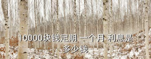 10000塊錢定期 一個(gè)月 利息是多少錢