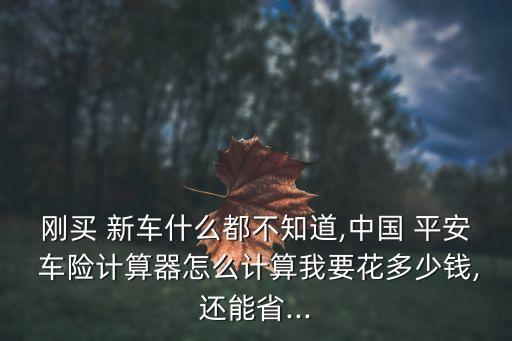剛買 新車什么都不知道,中國 平安 車險計算器怎么計算我要花多少錢,還能省...