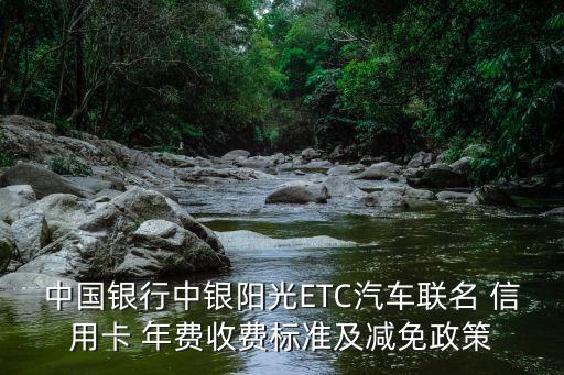 中原etc信用卡年費(fèi)是多少錢