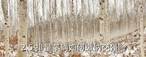  2.5 排量車輛如何繳納交強險