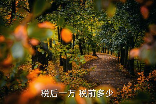 月薪10000稅前多少稅,稅前10000扣除五險和稅