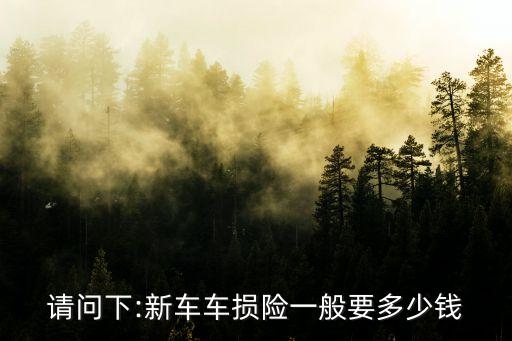 請(qǐng)問(wèn)下:新車車損險(xiǎn)一般要多少錢(qián)