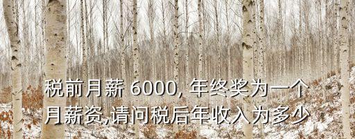 稅前月薪 6000, 年終獎(jiǎng)為一個(gè)月薪資,請(qǐng)問(wèn)稅后年收入為多少