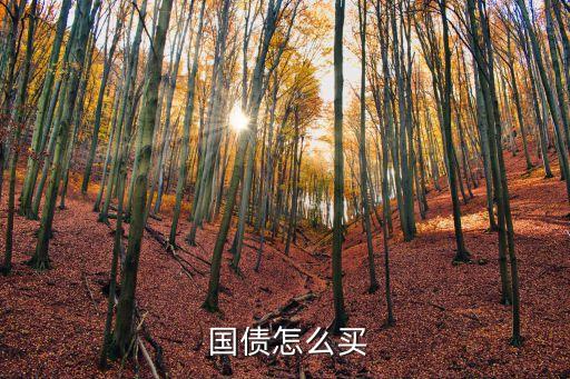  國(guó)債怎么買