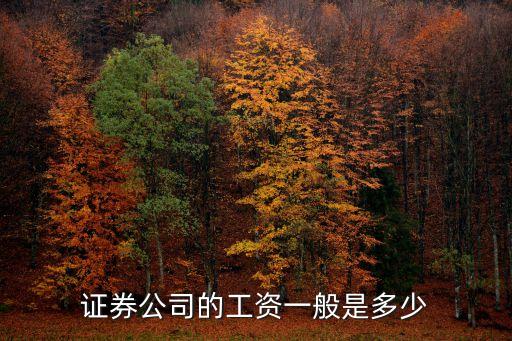 證券公司的工資一般是多少