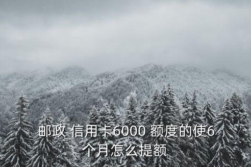 郵政雙幣信用卡額度多少錢,雙幣信用卡額度是分開的嗎