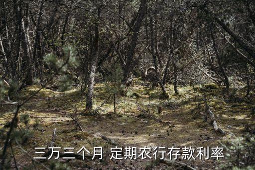  三萬三個月 定期農(nóng)行存款利率