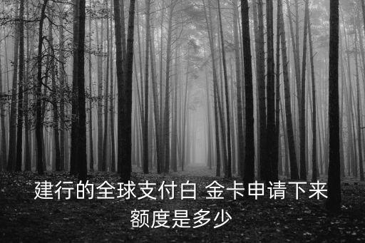  建行的全球支付白 金卡申請下來 額度是多少